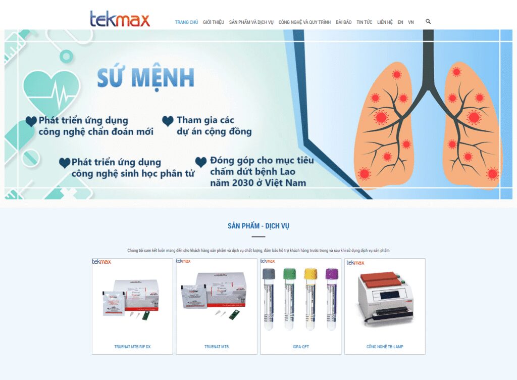 thiet ke website gioi thieu cong ty tekmax 3023